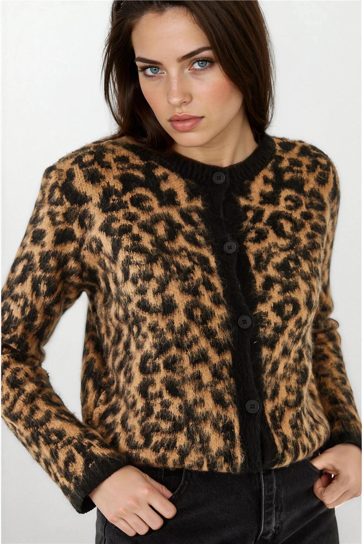 Black & Camel Women Cardigan