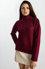 Burgundy Women Sweater
