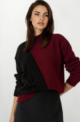 Burgundy & Black Women Sweater