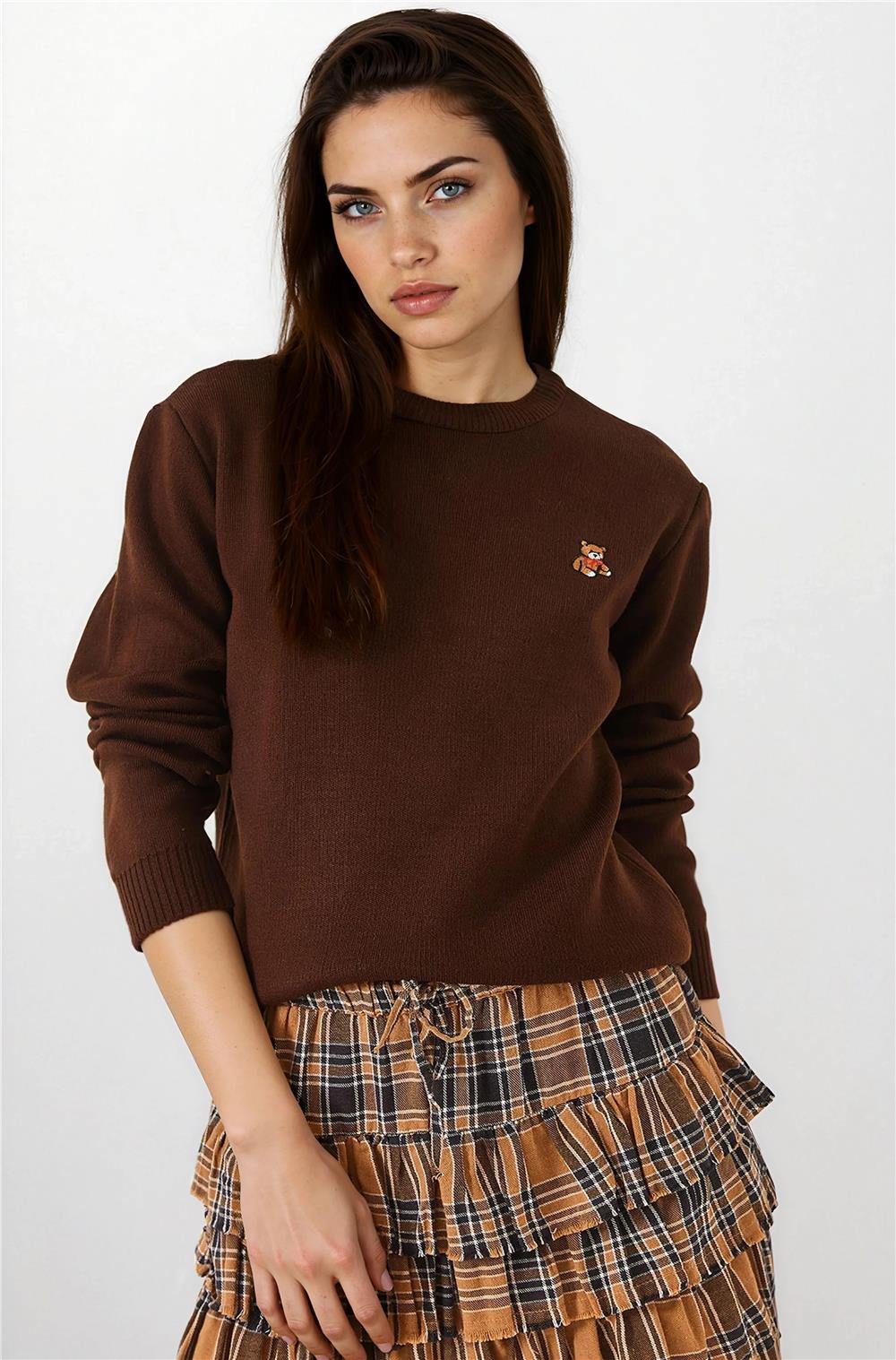 Brown Women Sweater