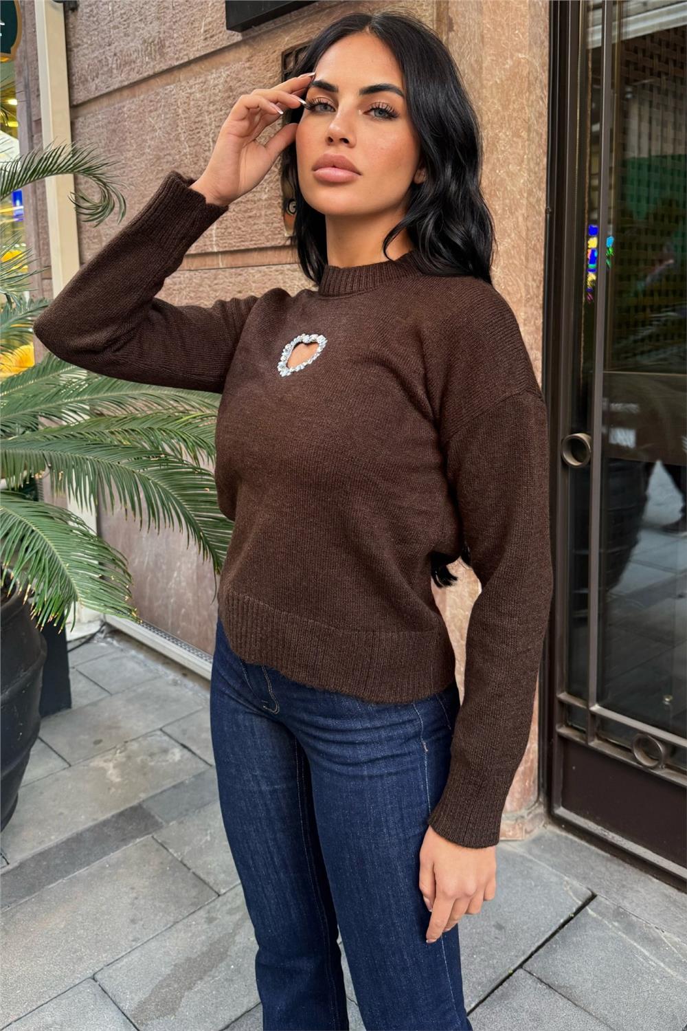 Brown Women Sweater