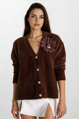 Brown Women Cardigan